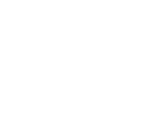 shape-04.png