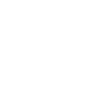 shape-05-1.png